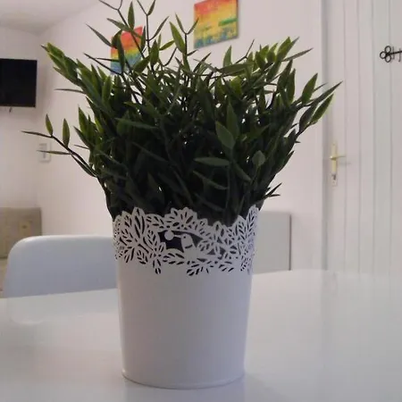 Fortuna Appartement